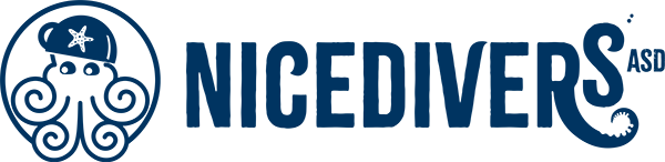 nicedivers logo